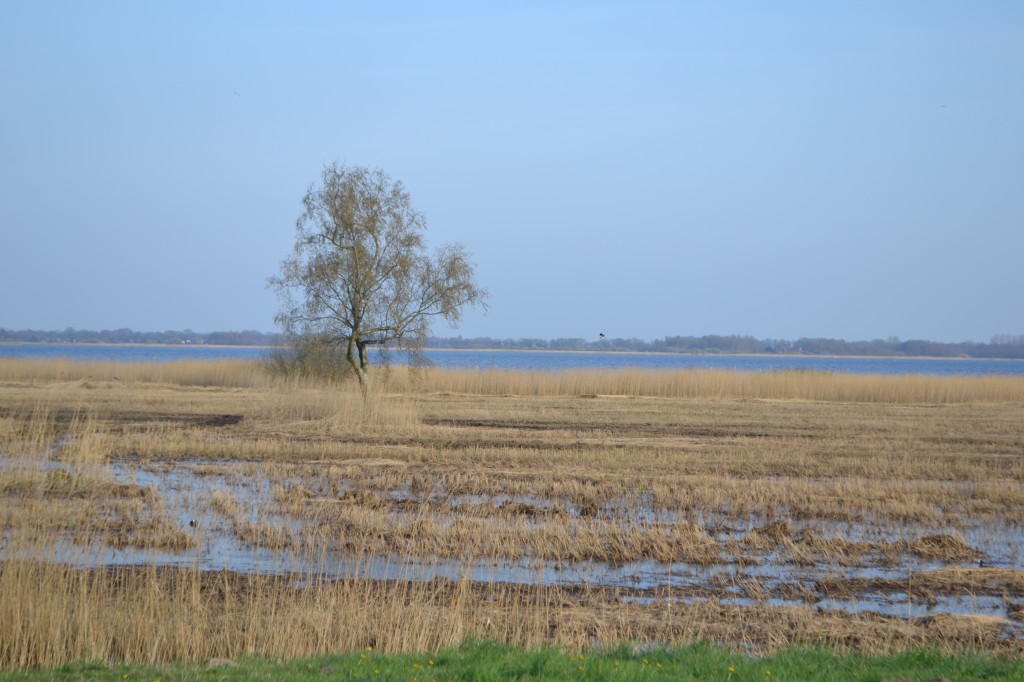 DSC_0013.jpg