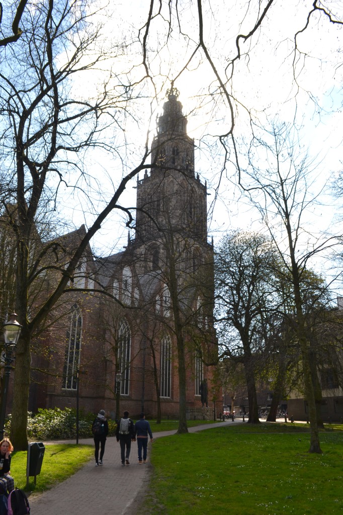 DSC_0123.jpg