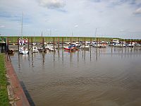 DSC01543.jpg