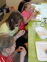 DSC07050.jpg