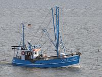 P1000199.jpg