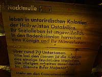 DSC07359.jpg