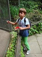 DSC07439.jpg