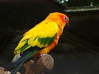 DSC07442.jpg