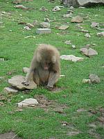 DSC07510.jpg