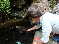 DSC07617.jpg