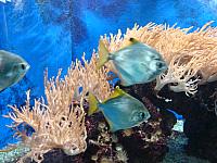 DSC07620.jpg