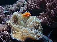 DSC07636.jpg