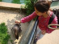 DSC07645.jpg