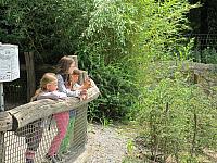 IMG_0202.jpg