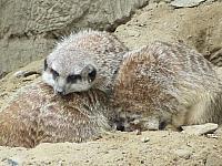 IMG_0338.jpg