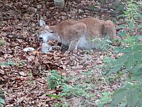 IMG_0434.jpg