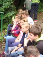 DSC08353.jpg