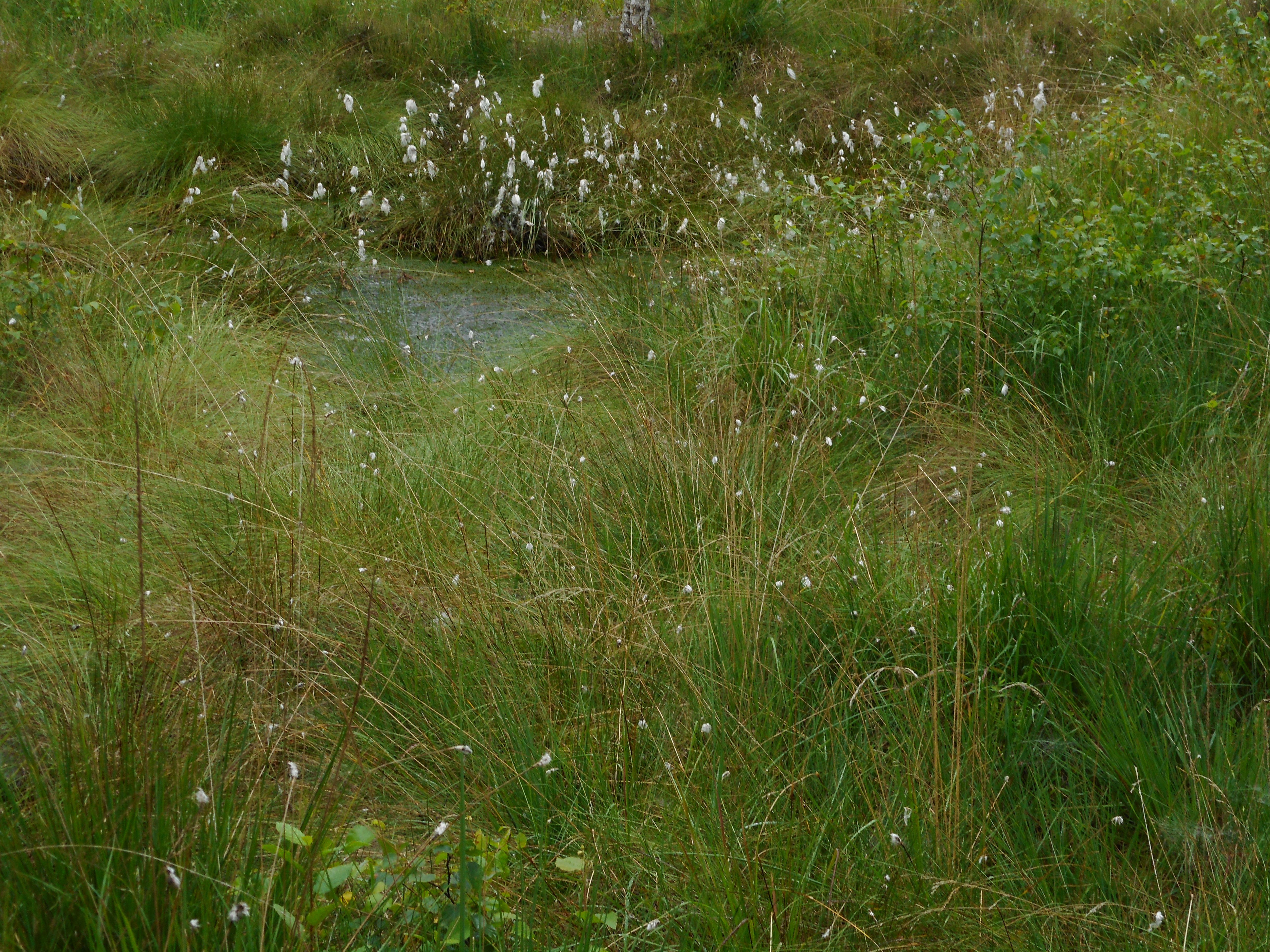 DSCN0059.JPG